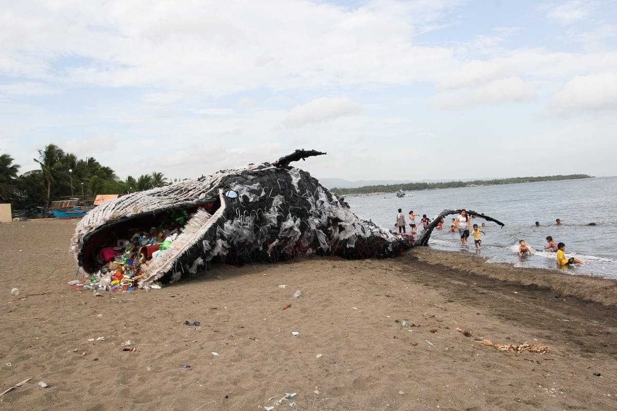 Avrupa'nın plastik atık çöplüğüne dönüşmüşüz!