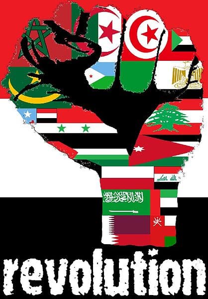 Arap Devrimine ne oldu? - Hamid Alizadeh