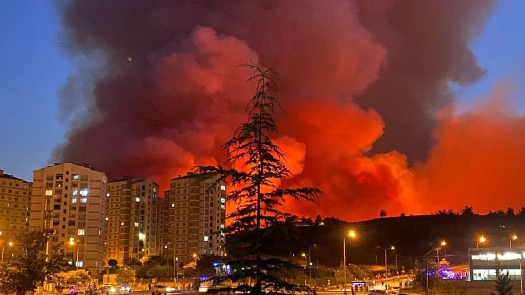 <br>Orman Yangınları Politiktir